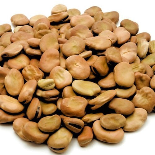 Broad Beans Dry Fava Beans – 1kg 2kg 5kg 10kg 15kg 20kg 30kg 40kg Bulk