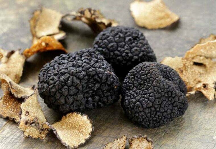 Precious Italian fresh black truffles. Black truffle 285g. 10oz. Mushrooms.