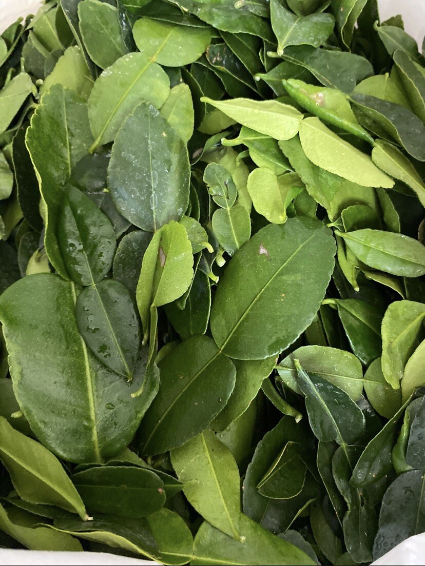 5 Oz FRESH Kaffir Lime Leaves Southeast Asian Herbs ORGANIC