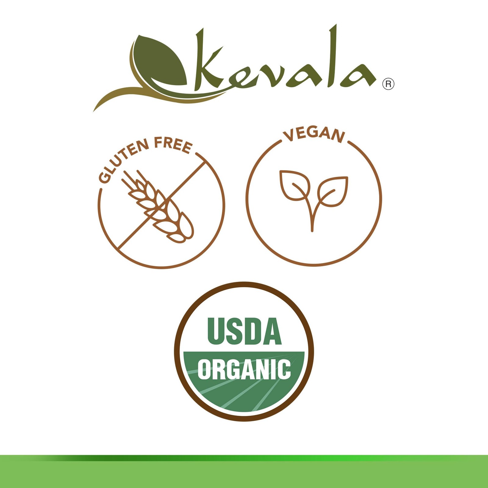 Organic Cacao Beans – 1 lb, Sugar Free Base for Vegan Chocolate