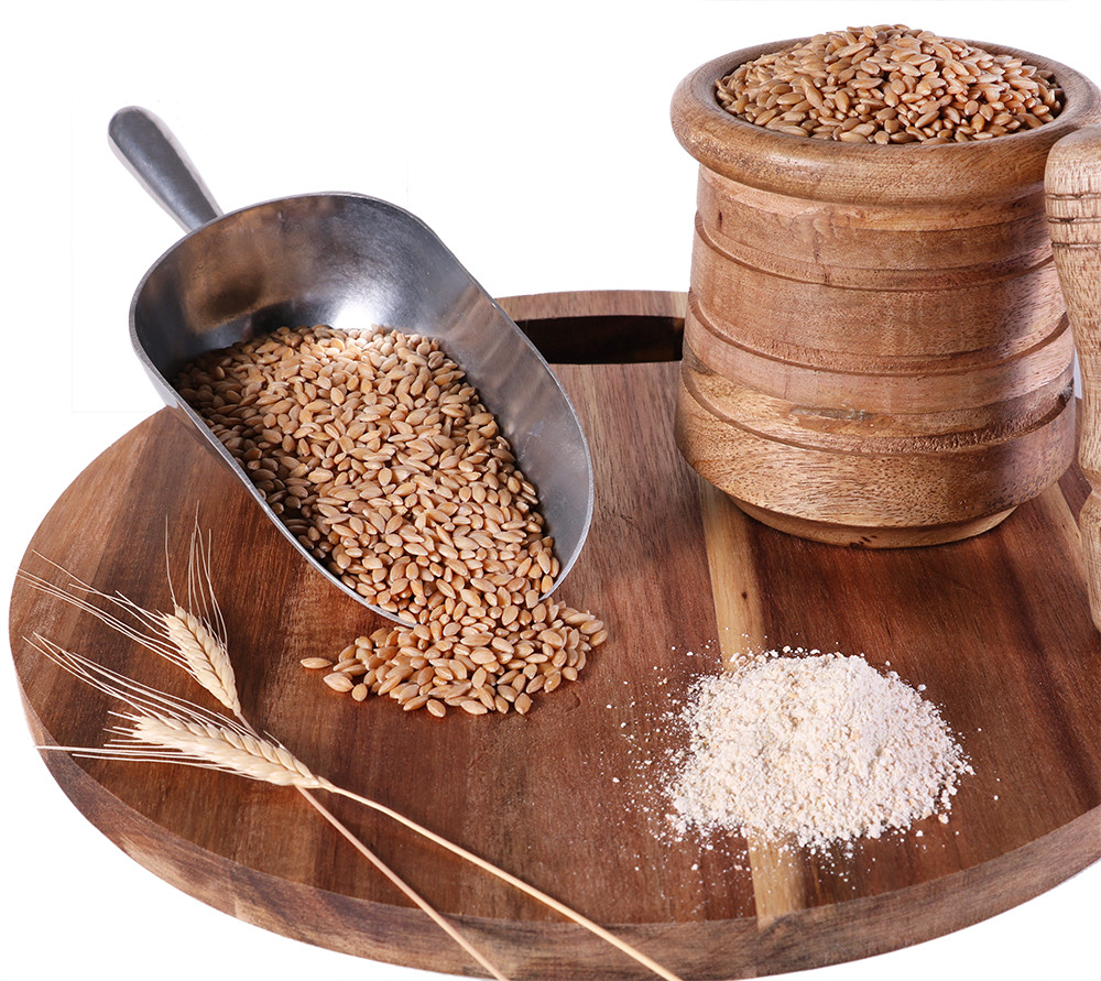 Organic Einkorn Wheat Berries – 10lbs
