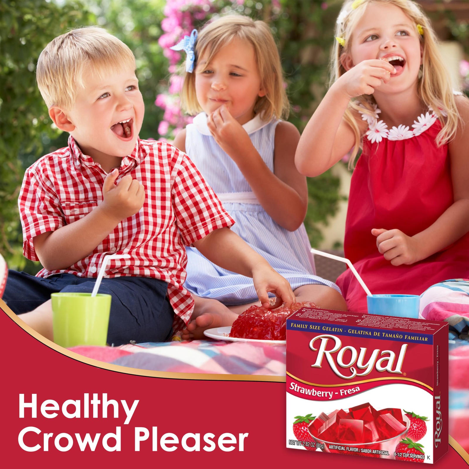 Royal Gelatin Variety Pack of 12, 3 Box Each Strawberry, Orange, Lime, Cherry