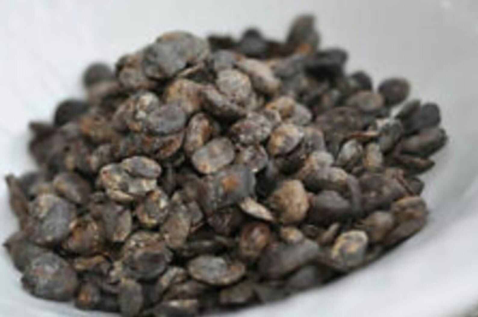 Locust Beans – Iru, Ogiri, DawaDawa, (Air Dried Whole) – 8 oz
