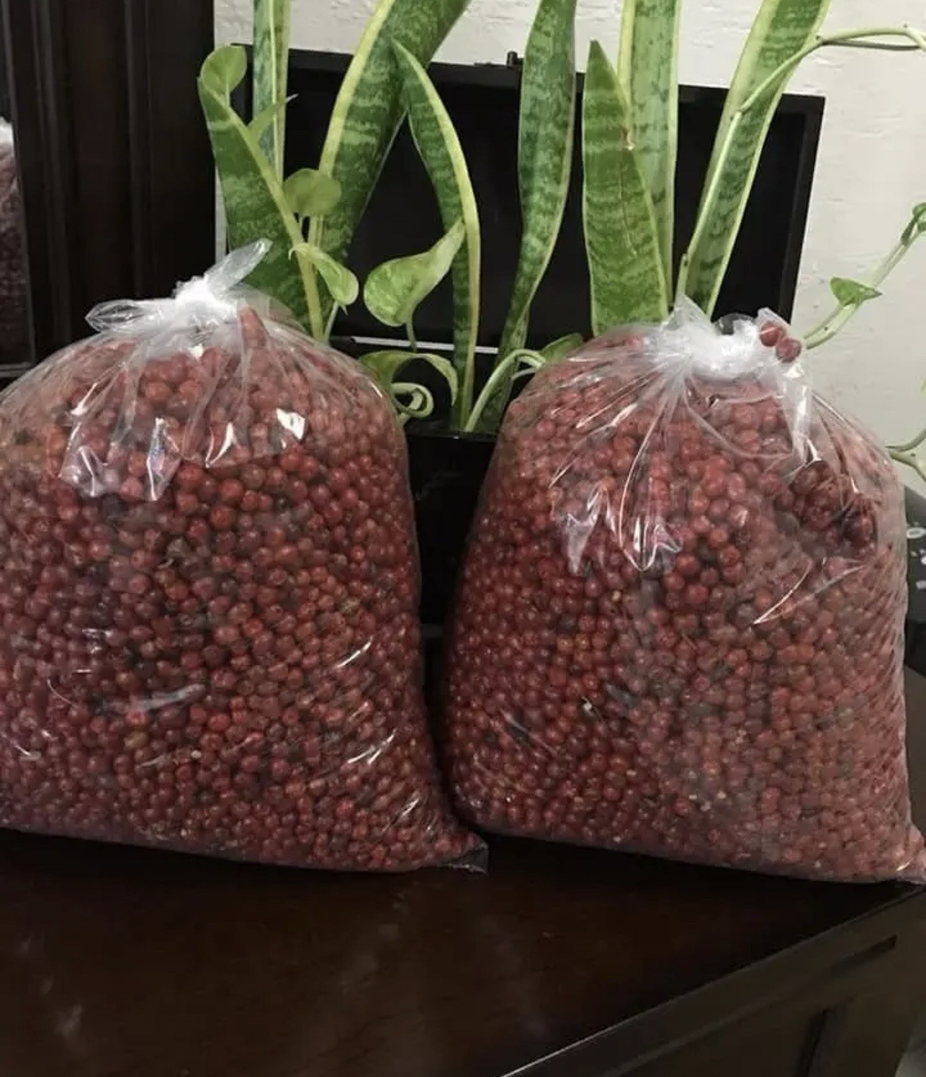 CHILTEPÍN Dried Chile Pepper Bag 2 LBS 100% Natural Quality Free Shipping USA 1