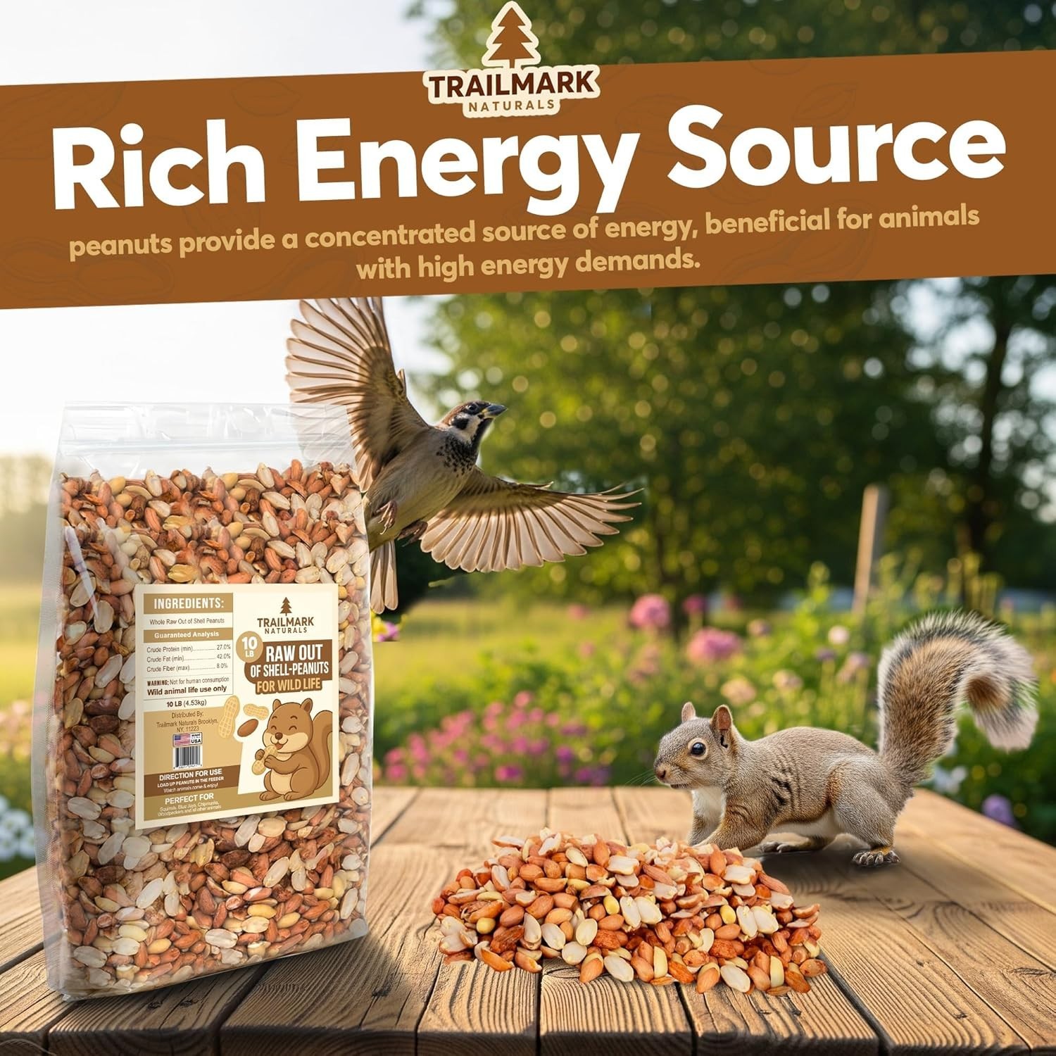 11 LB Raw Shelled Peanuts for Squirrels Birds & Wildlife – Unsalted USA Grown