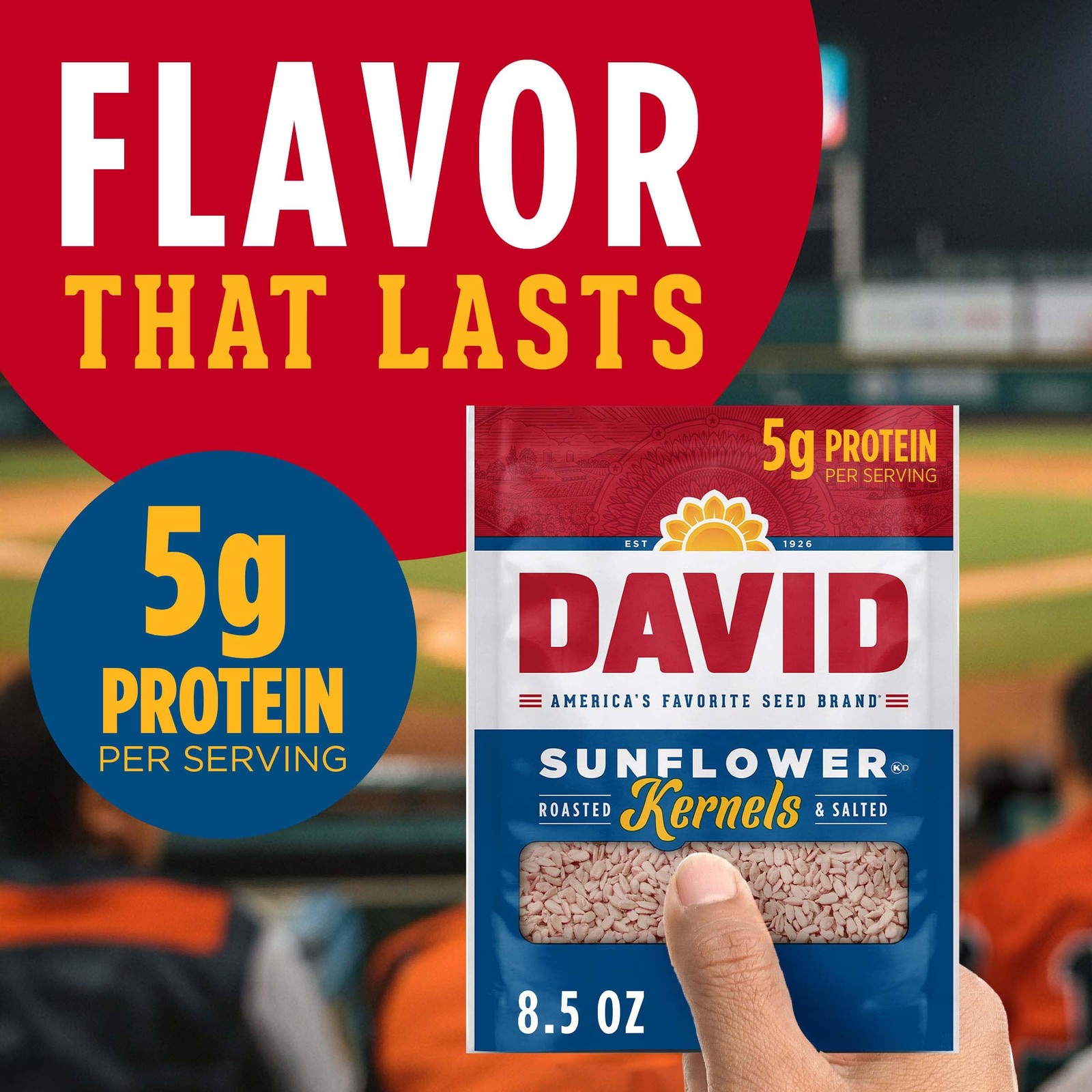 Sunflower Kernels, Original Flavor, 8.5 oz. (Pack of 12)
