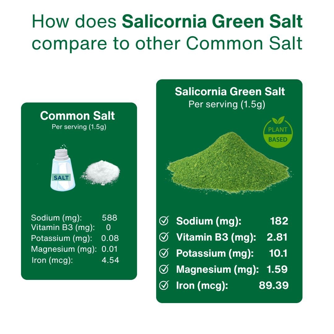 Green Salicornia Salt – Low Sodium Healthy Salt Substitute, Organic, Umami, 7oz