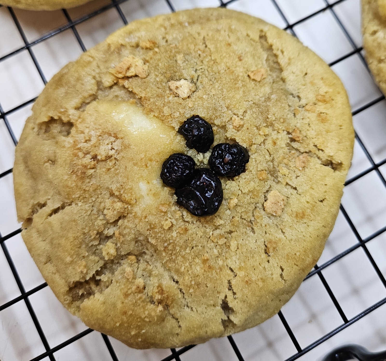 Handmade Fresh Baked Blueberry Cheesecake Cookies, Giant Cookies, Soft Baked