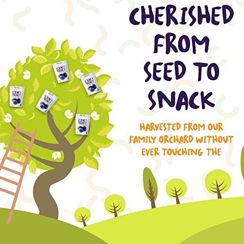 Looney Pruney Organic Pitted Dried Prunes for the Entire Assorted Sizes