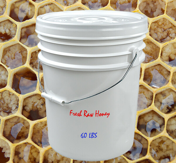 5 Gallons Pure Raw Unfiltered Honey – 60 LBS – Bulk Honey