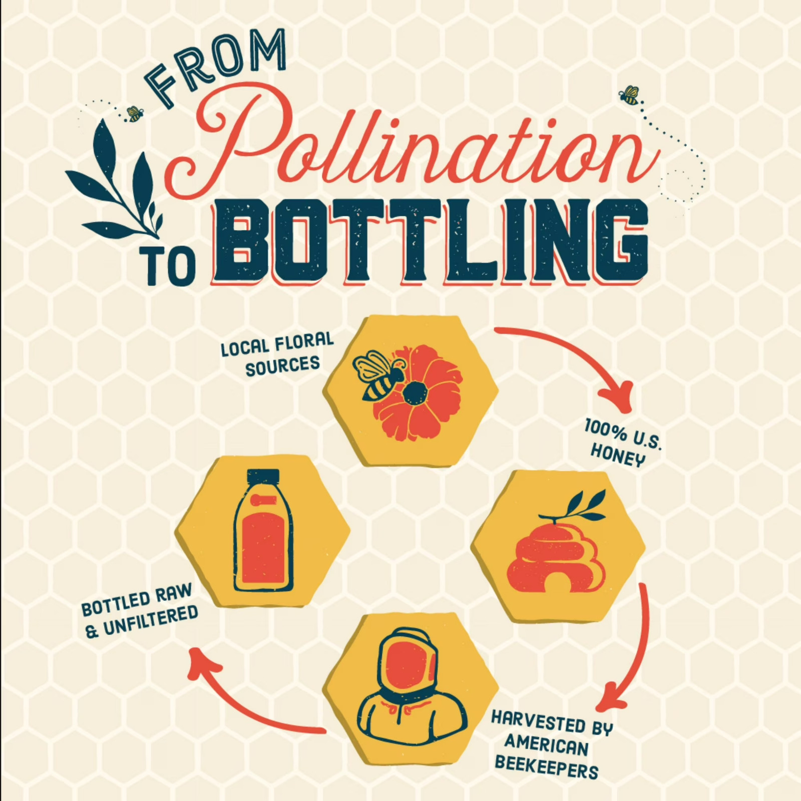 Local Hive, Raw & Unfiltered 100% U.S. Northwest Honey Blend, 16 oz Bottle