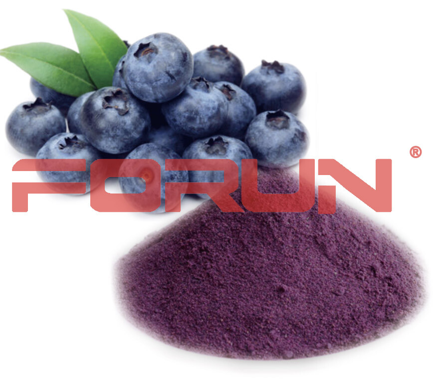 FORUN Blueberry Powder – Premium Grade,Watersoluble