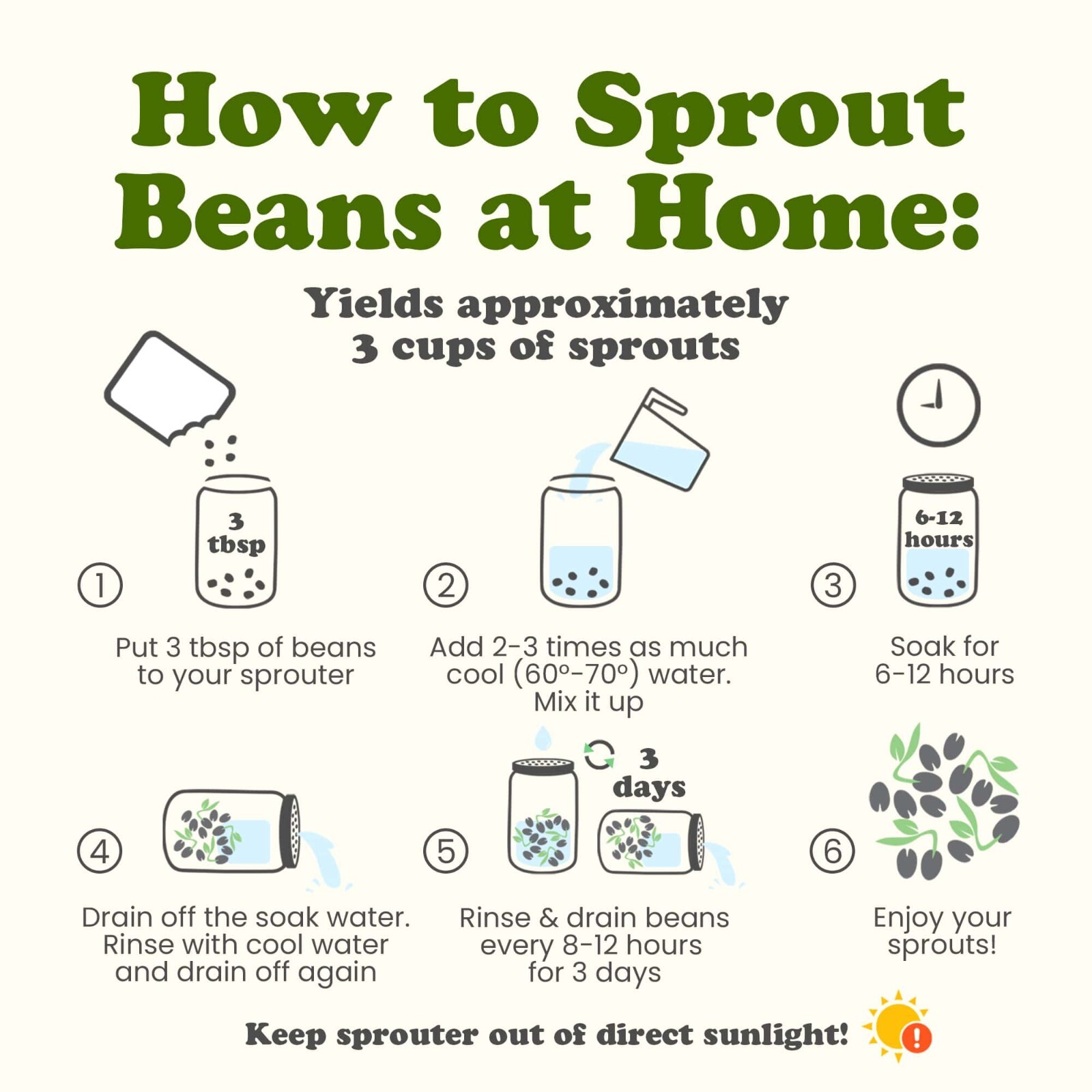 Organic Crunchy Mix of Sprouting Beans — Non-GMO, Kosher, Non-Irradiated, Vegan