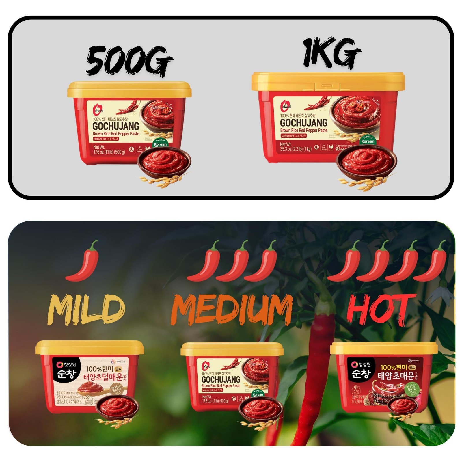 Korean Gochujang Red Chili Paste 1.1 lb – Gluten-Free, Low Fat, Spicy Sauce for