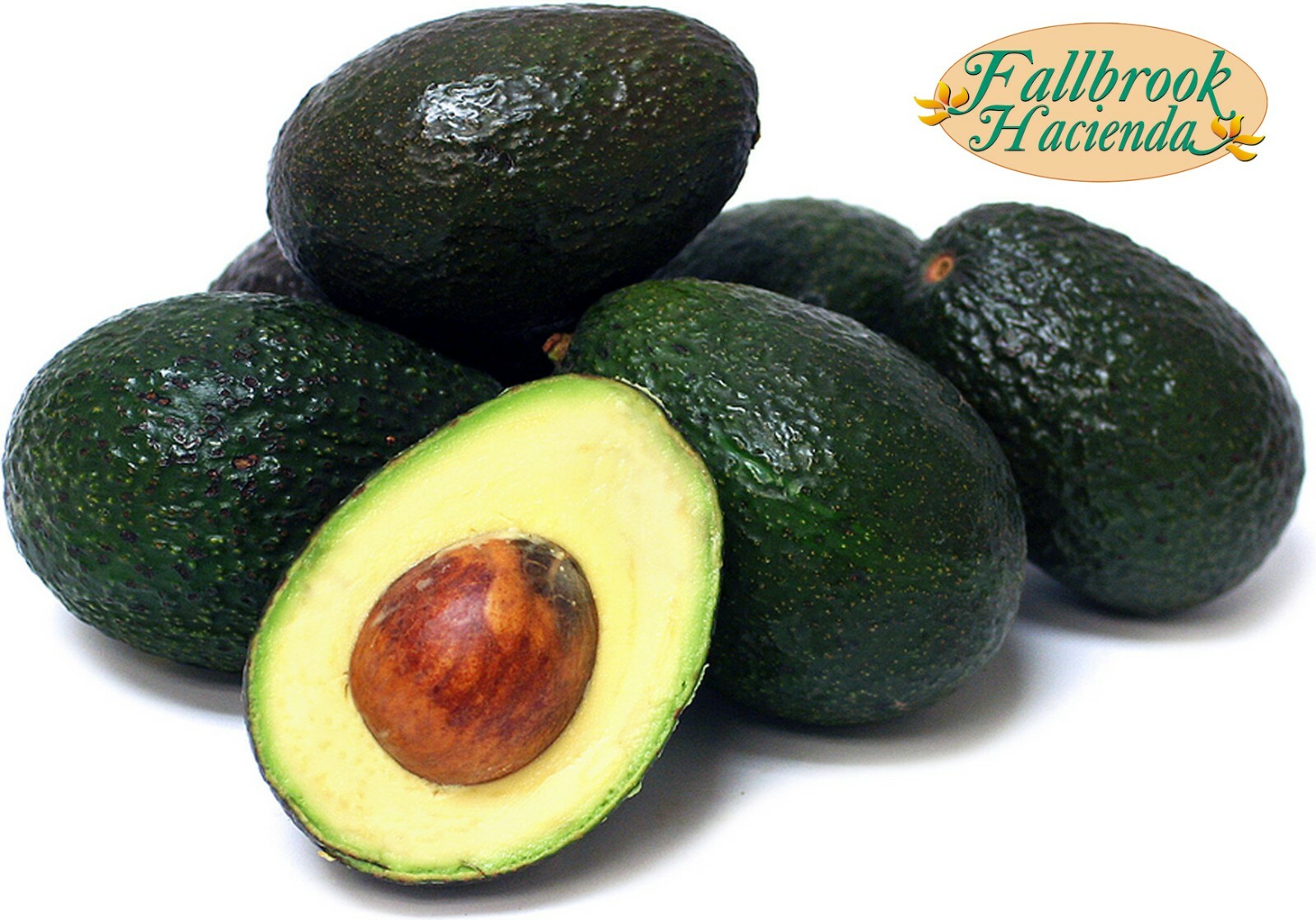 Organic Avocados – Large Hass – No Pesticides or Herbicides – Large Box