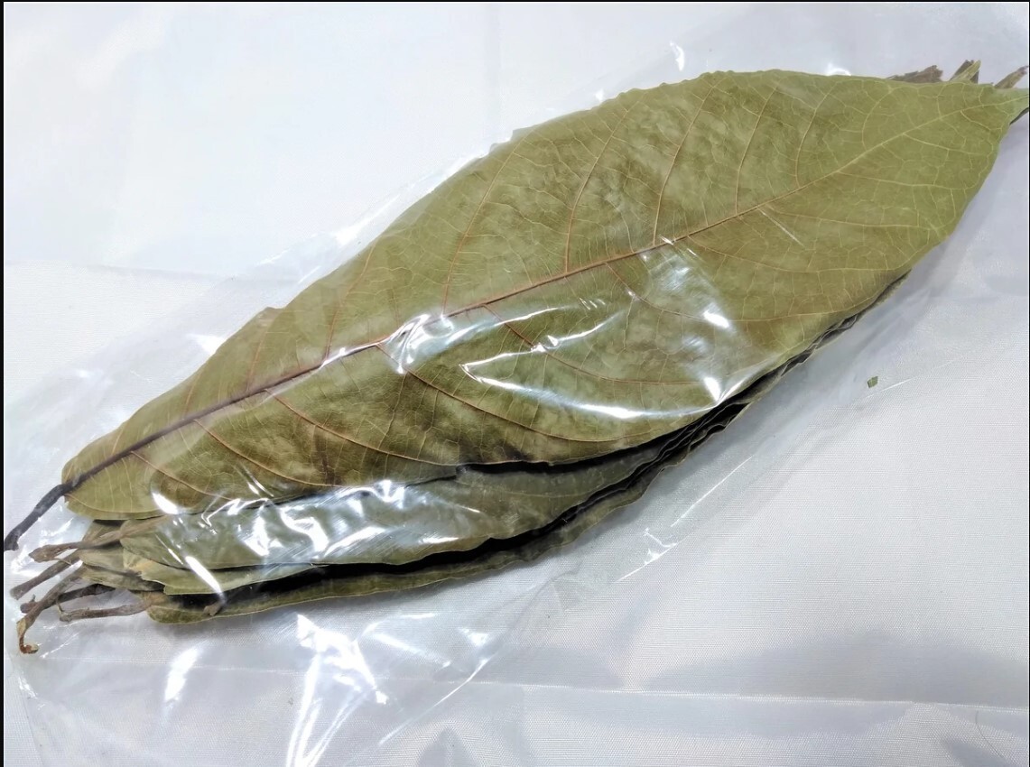 Ceylon Dried Cocoa Leaves Chocolate Theobroma Cacao 100% Best Organic 25 Leaves