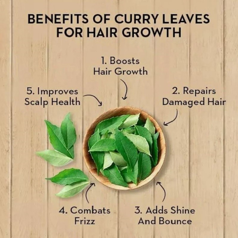 Dried Curry Leaves Powder (Murraya Koenicll) Leaf 100% Organic Ceylon Spices Tea