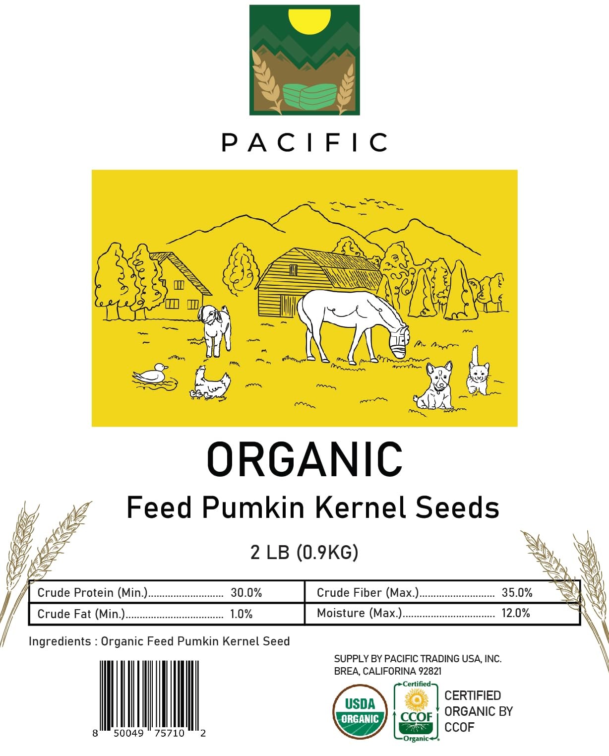 Organic Pumpkin Kernel Seeds 2Lbs – Nutrient-Rich Snack for Dogs