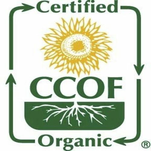 McCabe Organic Crushed Rosemary 15g, USDA & CCOF Organic Certified