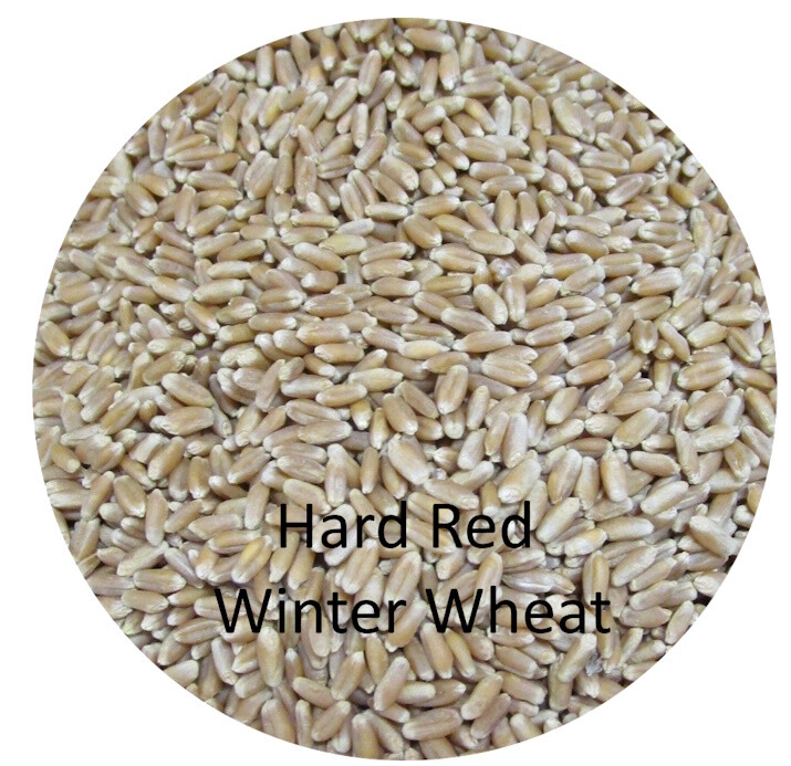 Combination Wheat Berry Bundles – Hard Red Winter, Hard White, and Soft White