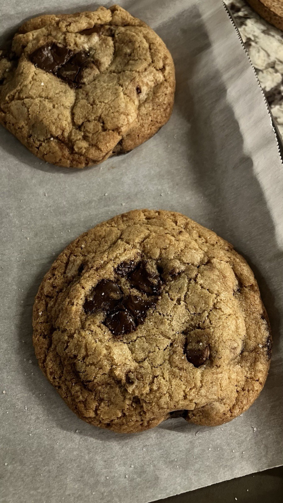 Homemade Chocolate Chip Cookies Fresh Two Dozen (24 Count) Free Shipping