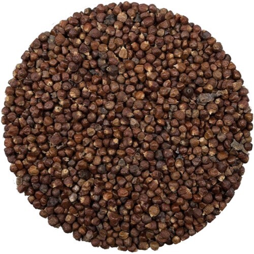 Grains Of Paradise Melegueta Pepper Aframomum melegueta 70 g 2.46 oz