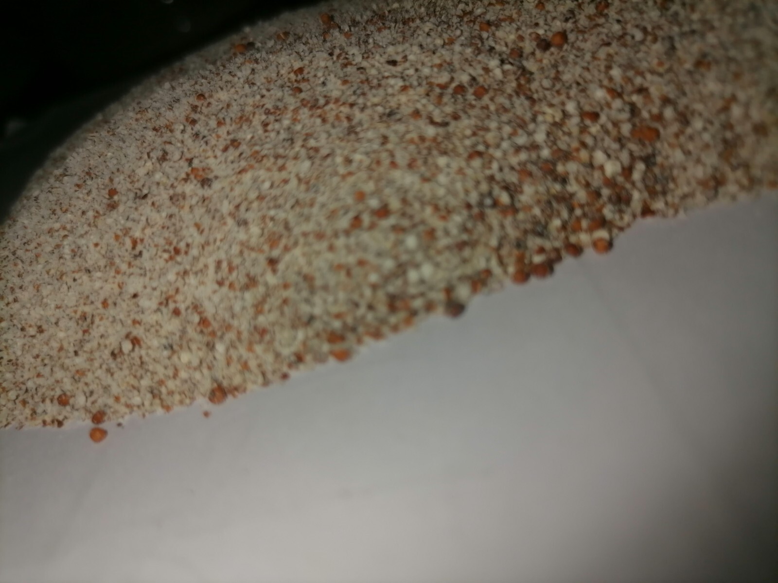 Organic Natural Whole Kurakkan Ragi Seeds Pure and natural organic finger millet