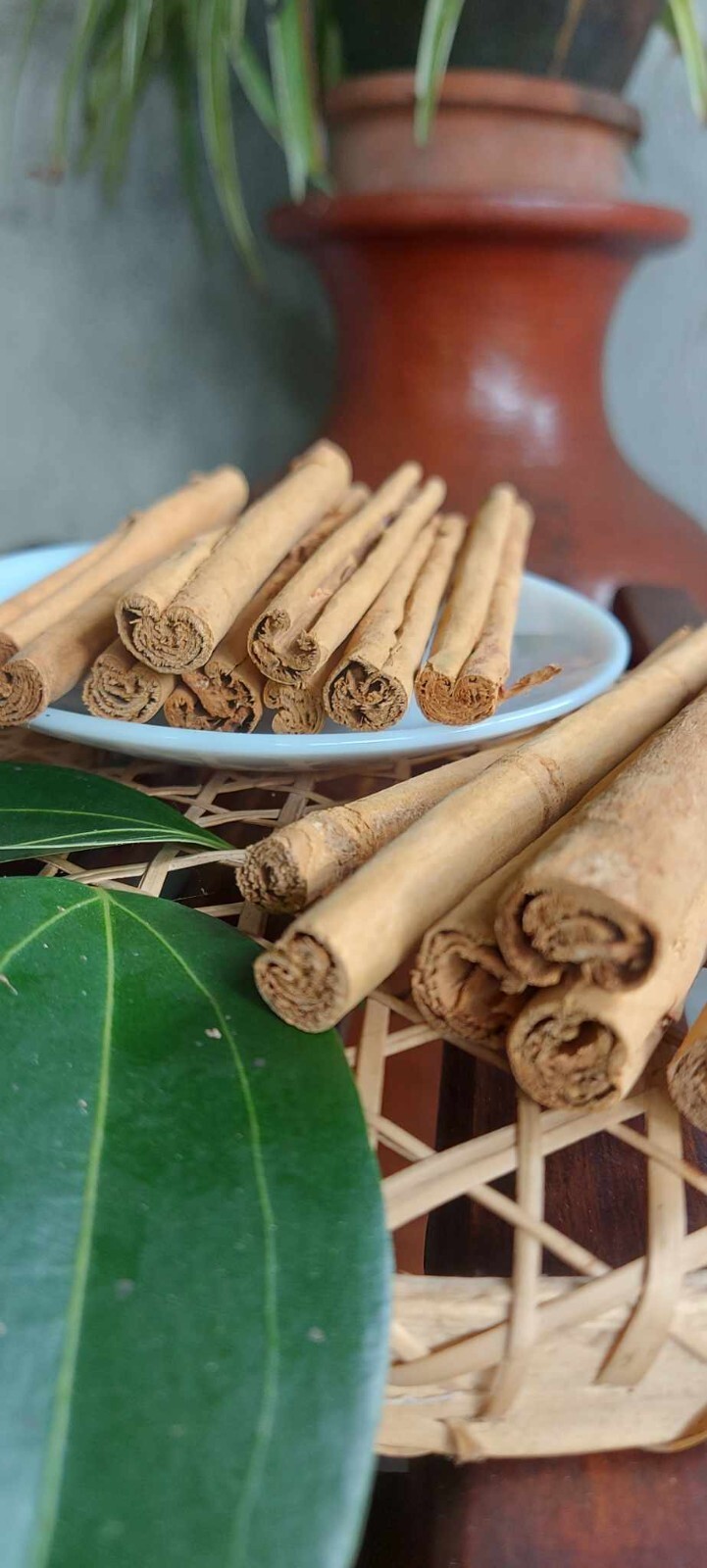 100% Pure Organic Ceylon Cinnamon Sticks, Pure Ceylon, «True Cinnamon» Sticks