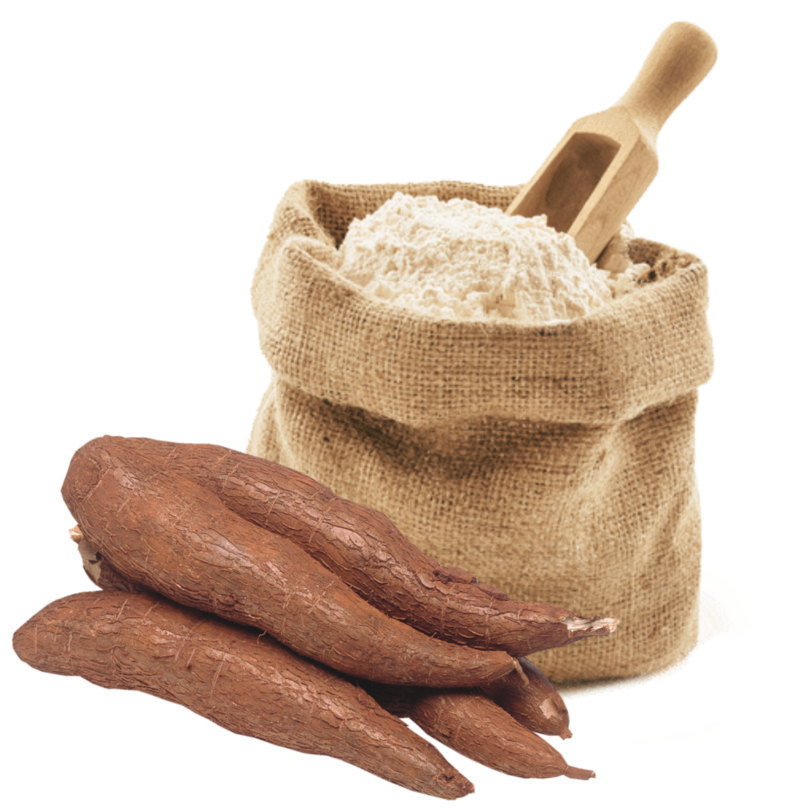 Dried Cassava Flour | Pure OrganicTapioca | Manioc | Yuca Root Starch Premium