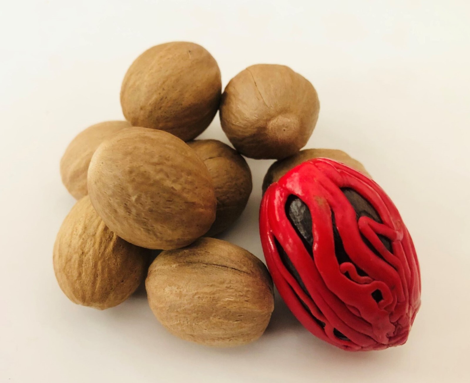 Organic Whole Nutmeg (35g) – Shell-Free | Spice & Natural Remedy