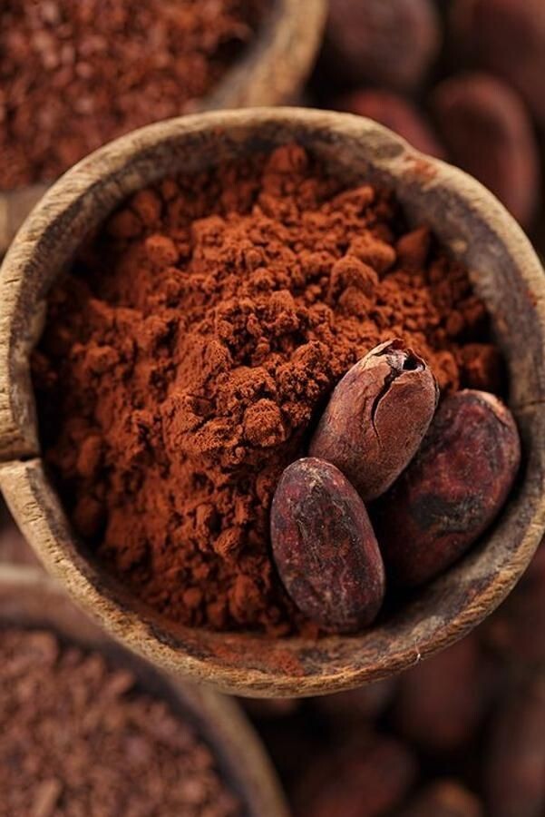 Ceylon Organic Raw Cacao Powder 100% Organic Arriba Nacional Free Shipping