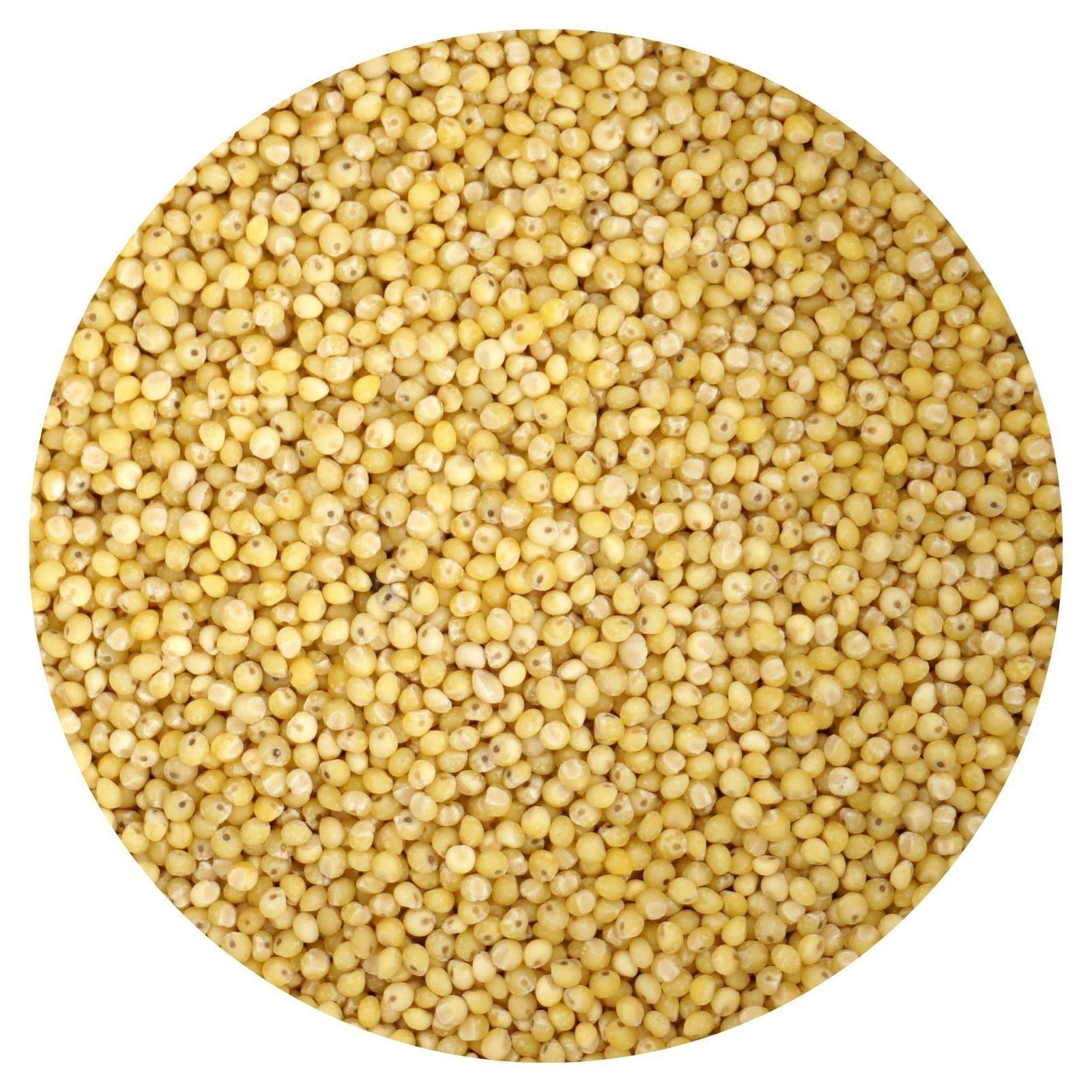 Organic Hulled Millet, 1 Pound Bulk Bag, Hampton Distribution