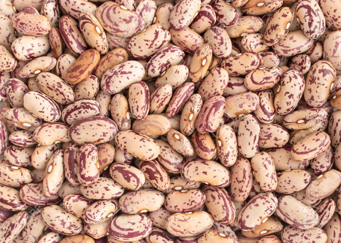 Pinto Beans Dry Frijoles Pintos *Bulk Size Lots* 1 3 5 10 20+ LBS PANTRY NON-GMO