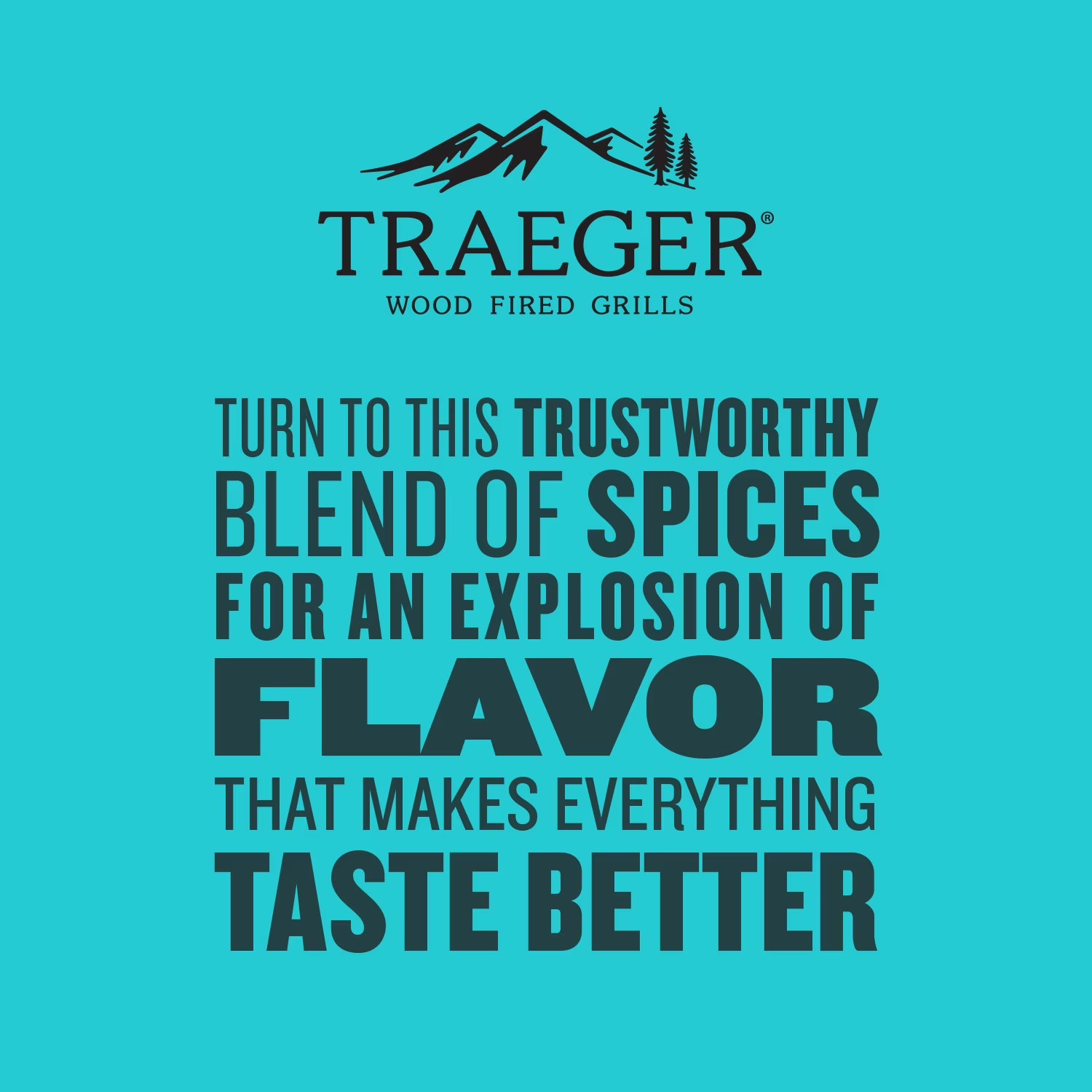 Traeger Pellet Grills Anything Rub, Mixed Spices & Seasonings, 12.5 oz