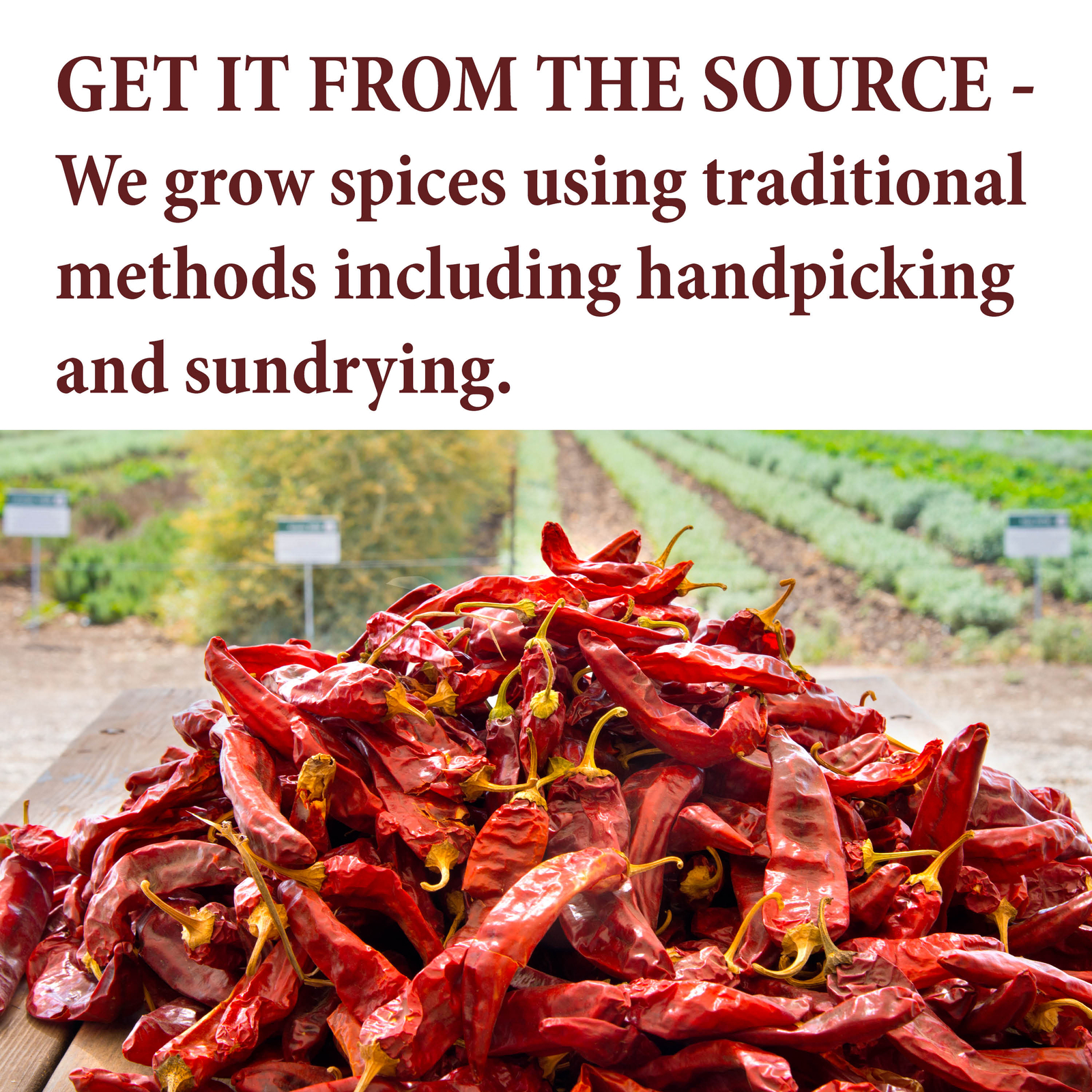 The Spice Way Cloves Whole