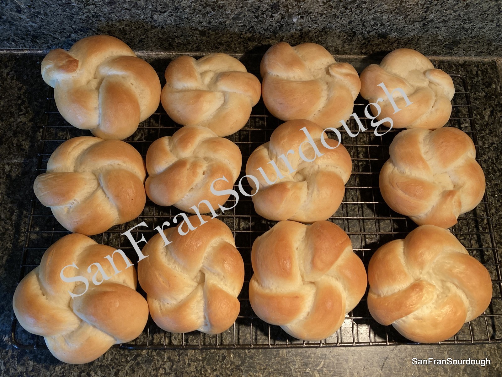 Sourdough Starter San Francisco California Yeast Bacteria baking bread pastry