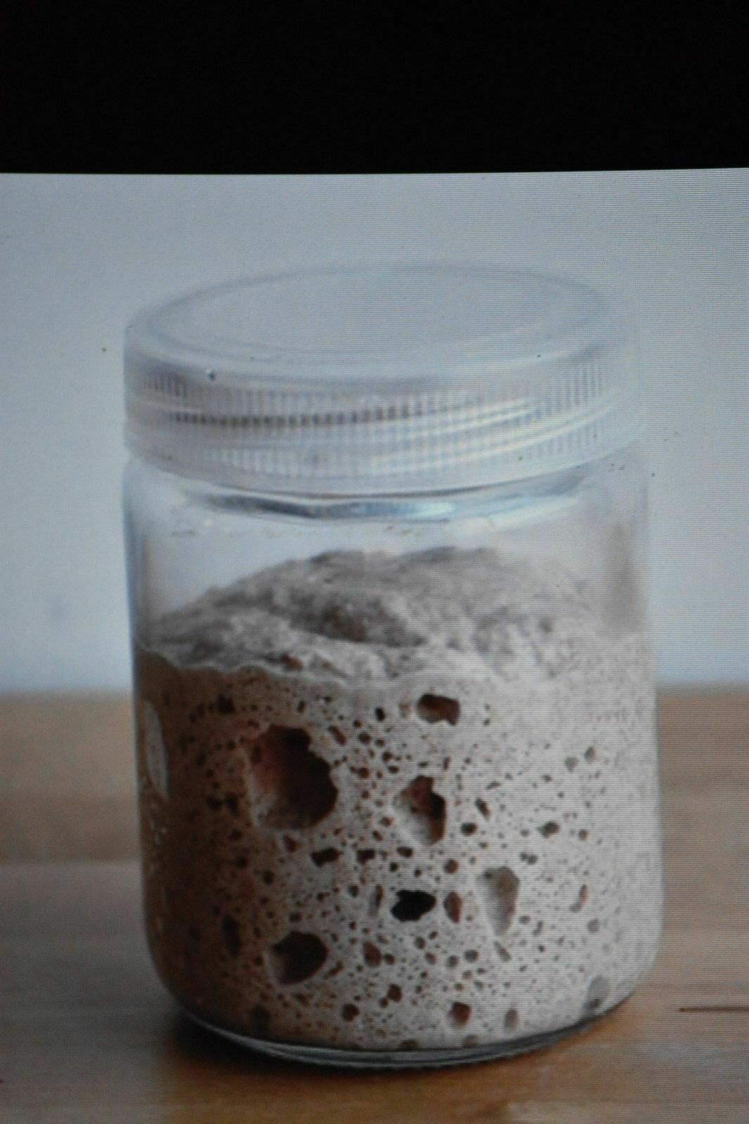 San Francisco SOURDOUGH live YEAST Purely Organic wharf FRESH BATCH MONTHLY