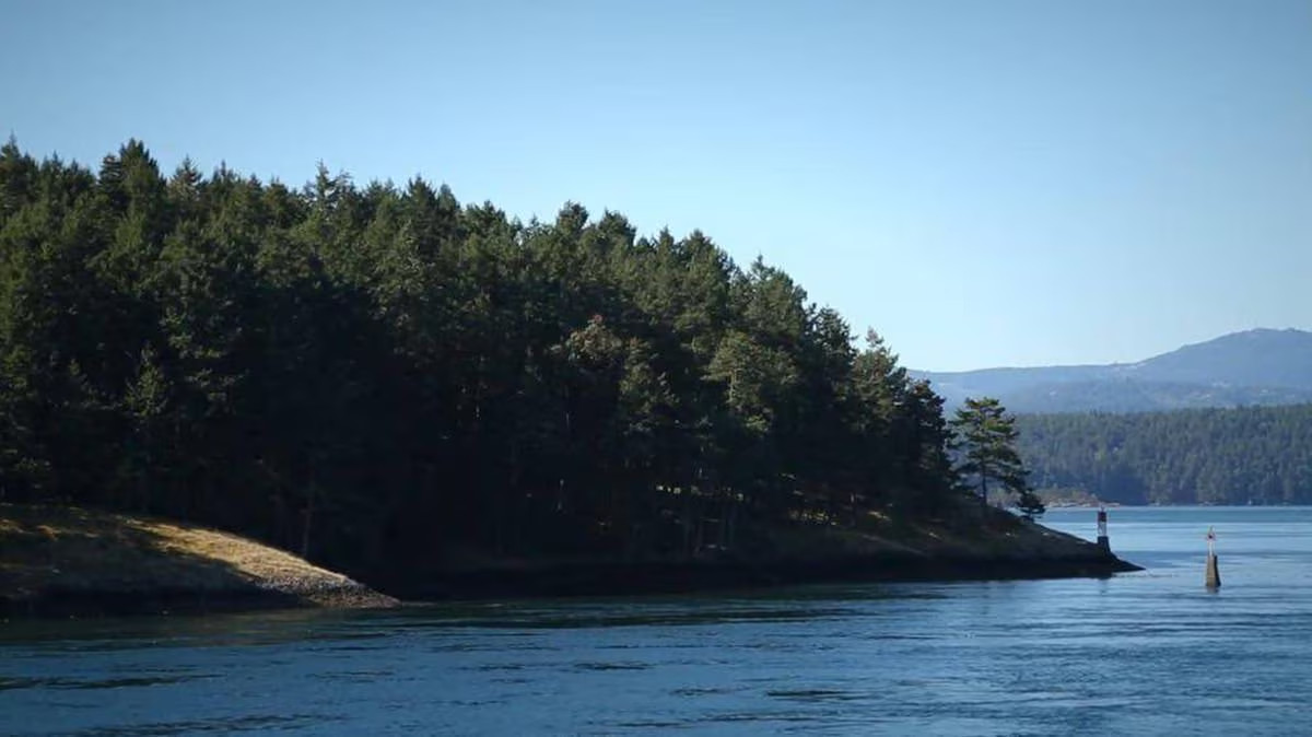 Vancouver Island flaky from the Artisan Salts of the World by Merchant Spice Co.