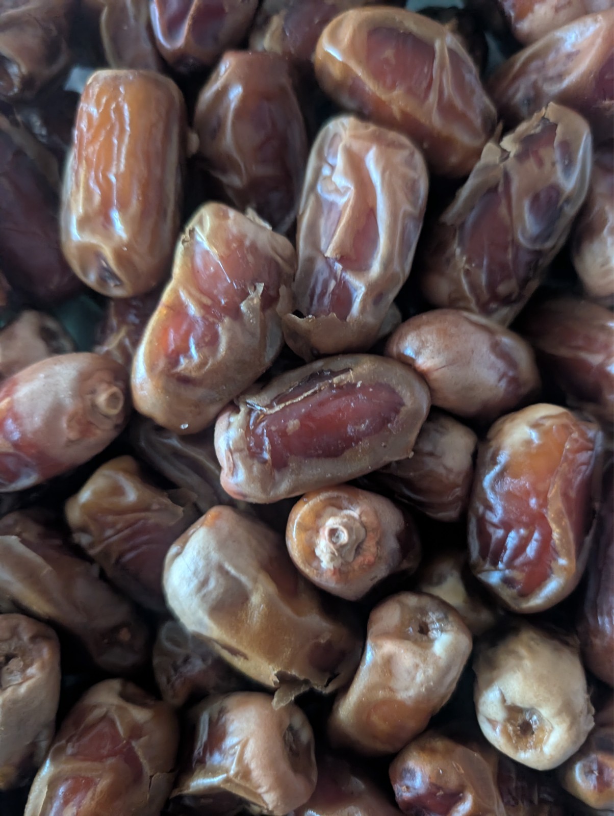 ORGANIC FRESH KOSHER DATES FROM DUBAI – 2 Pounds for $20.