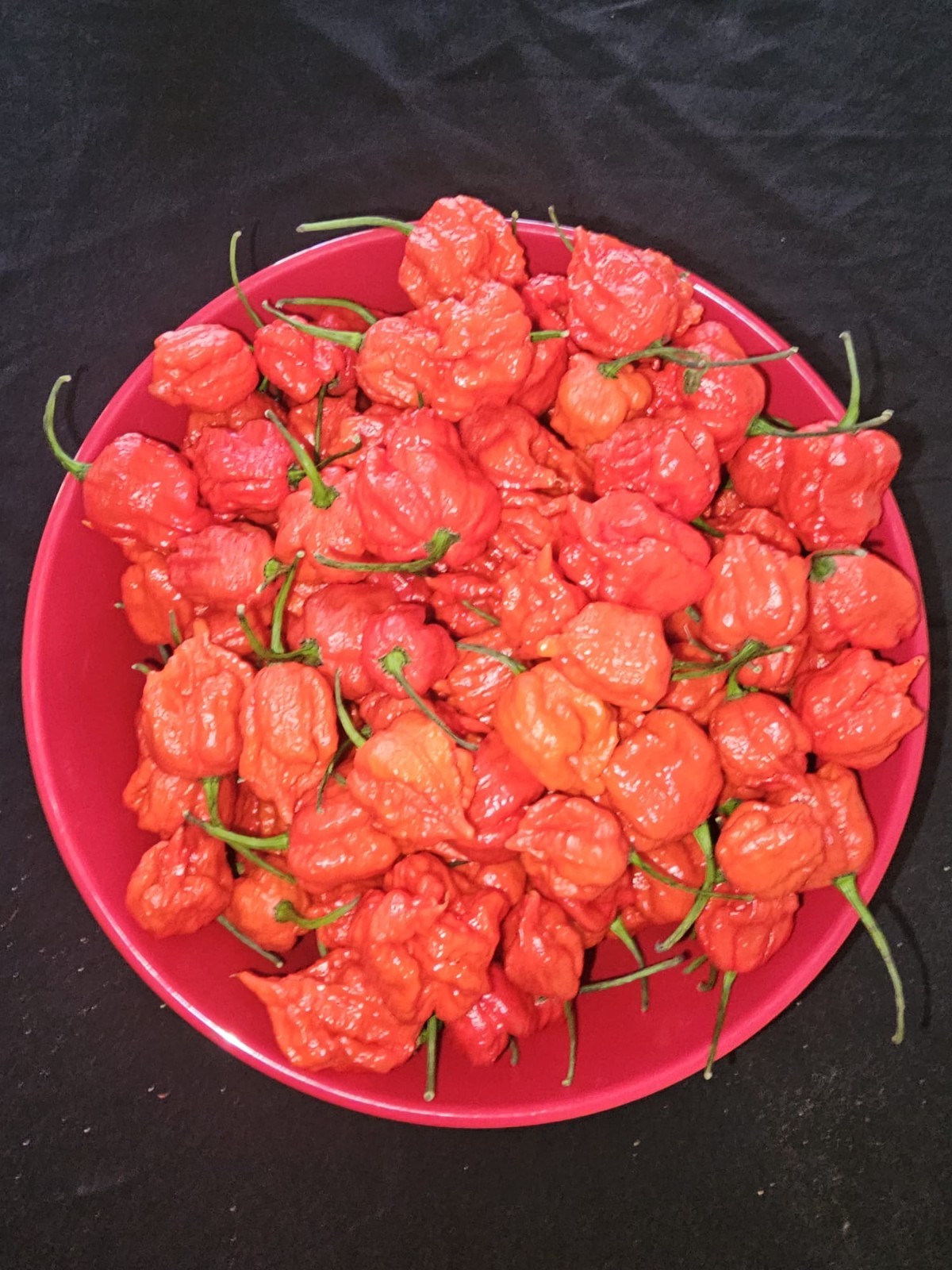 Zozoma Farms 3 Pounds Carolina Reaper Chili Peppers