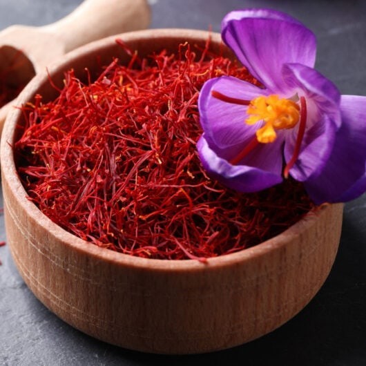 50 gm Premium Raw Saffron – 100% Natural High-Quality Saffron Threads
