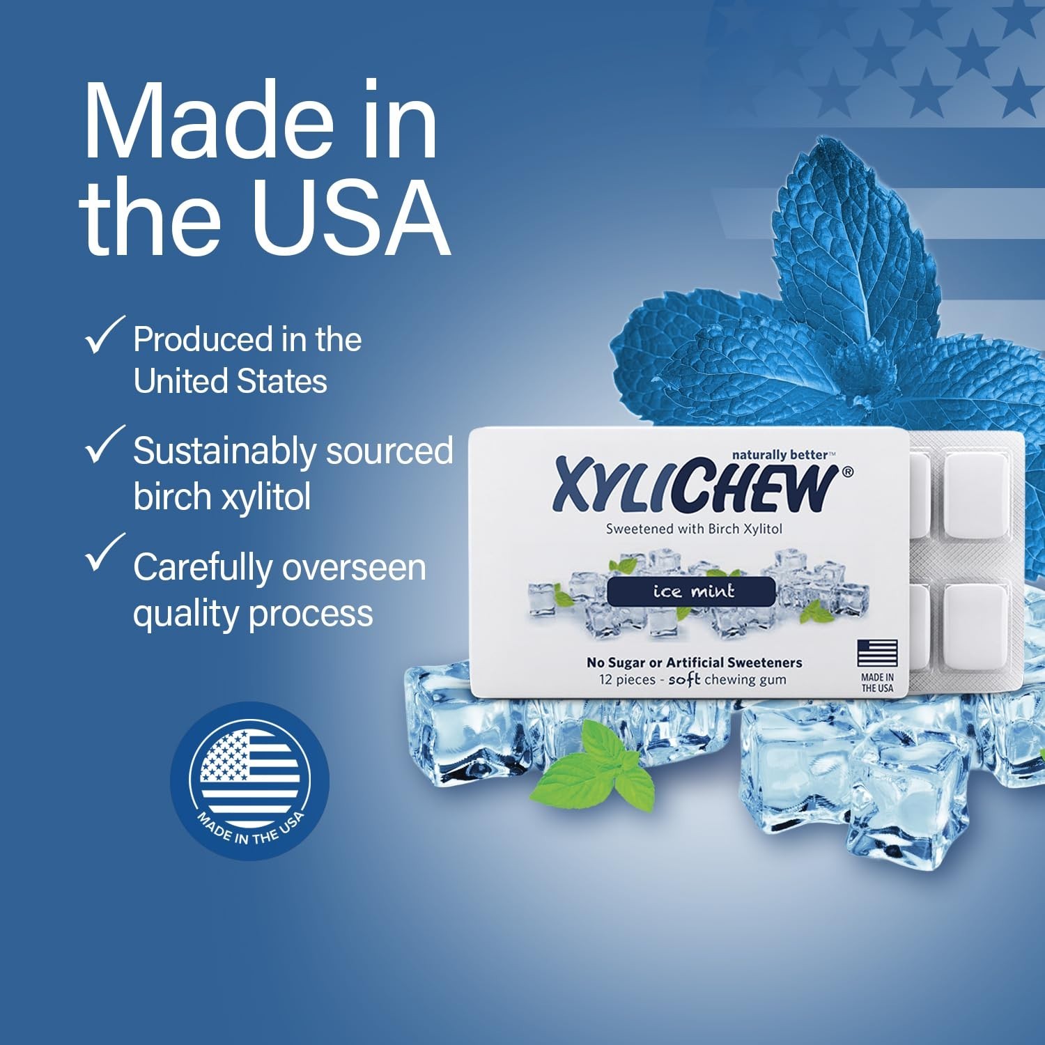 Xylichew 24 PACKS Xylitol Chewing Gum Ice Mint Sugar Free 288 PIECES 12 Per Pack