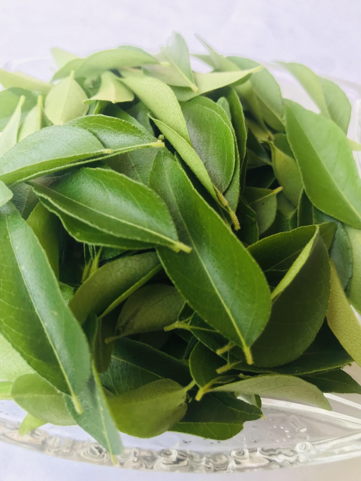 Sun Dried Organic Curry Leaf Natural Curry Leaves Premium Quality