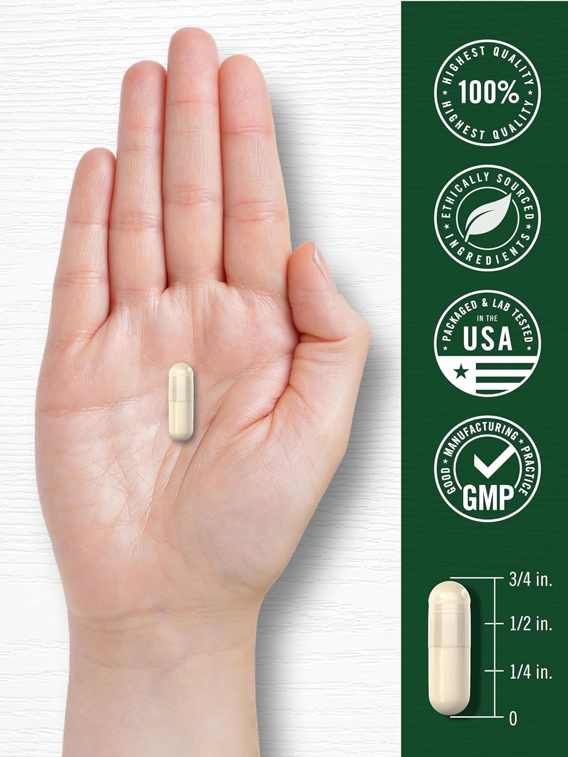 Gluten-Free White Kidney Bean Extract Capsules – 200 Count Dietary Supplement