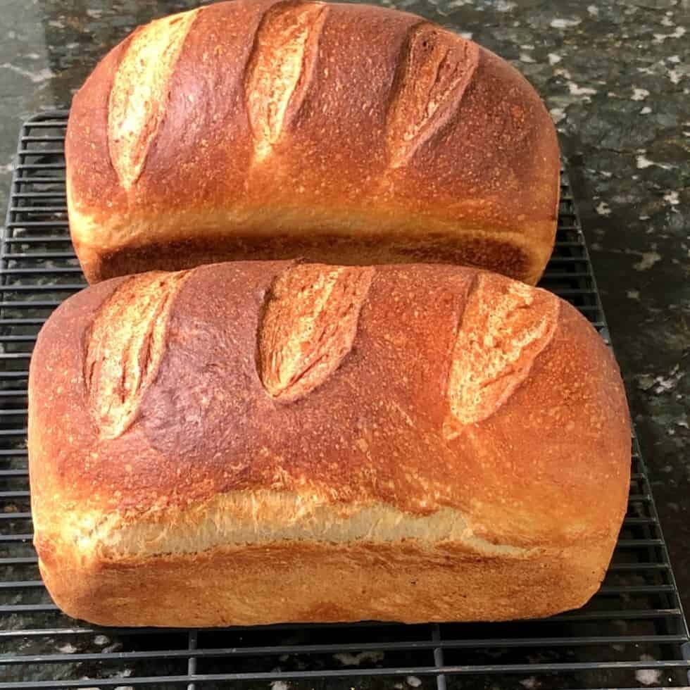 Sourdough Starter Dehydrated – Bavarian «Munich Pretzel» – 15 Gram Bag