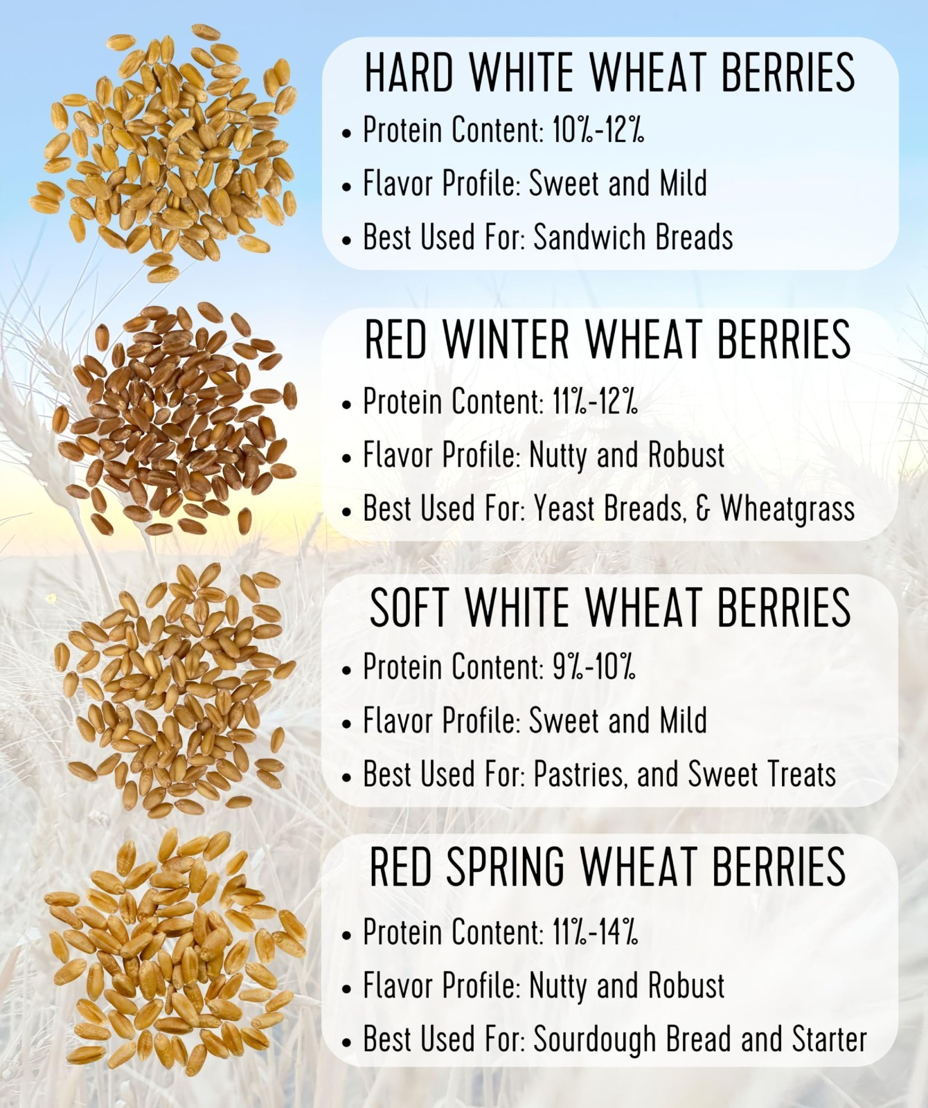 Non-GMO Hard White Wheat Berries – Glyphosate Residue Free, 5 LBS, Kosher