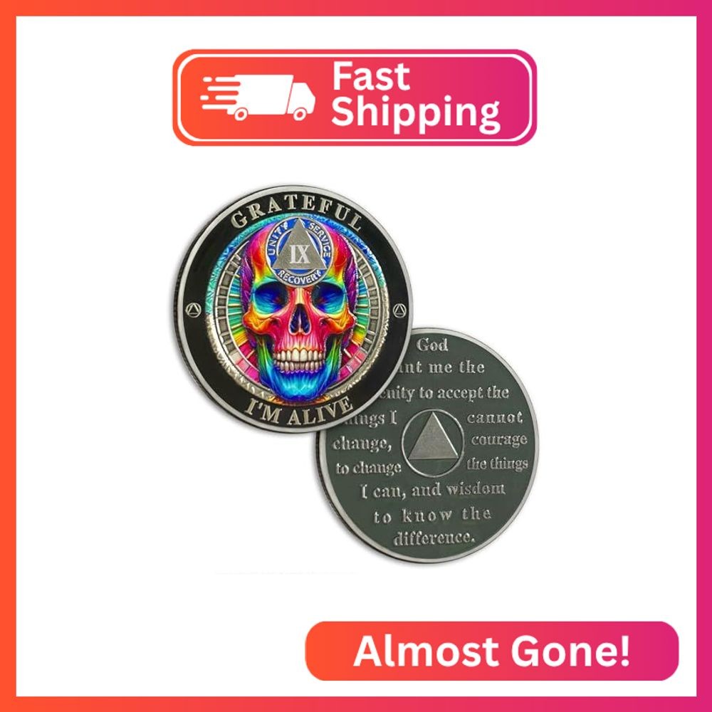 Rainbow Skull 9 Year Sobriety Coin Grateful I’m Alive Nine Years Sober Chip – AA