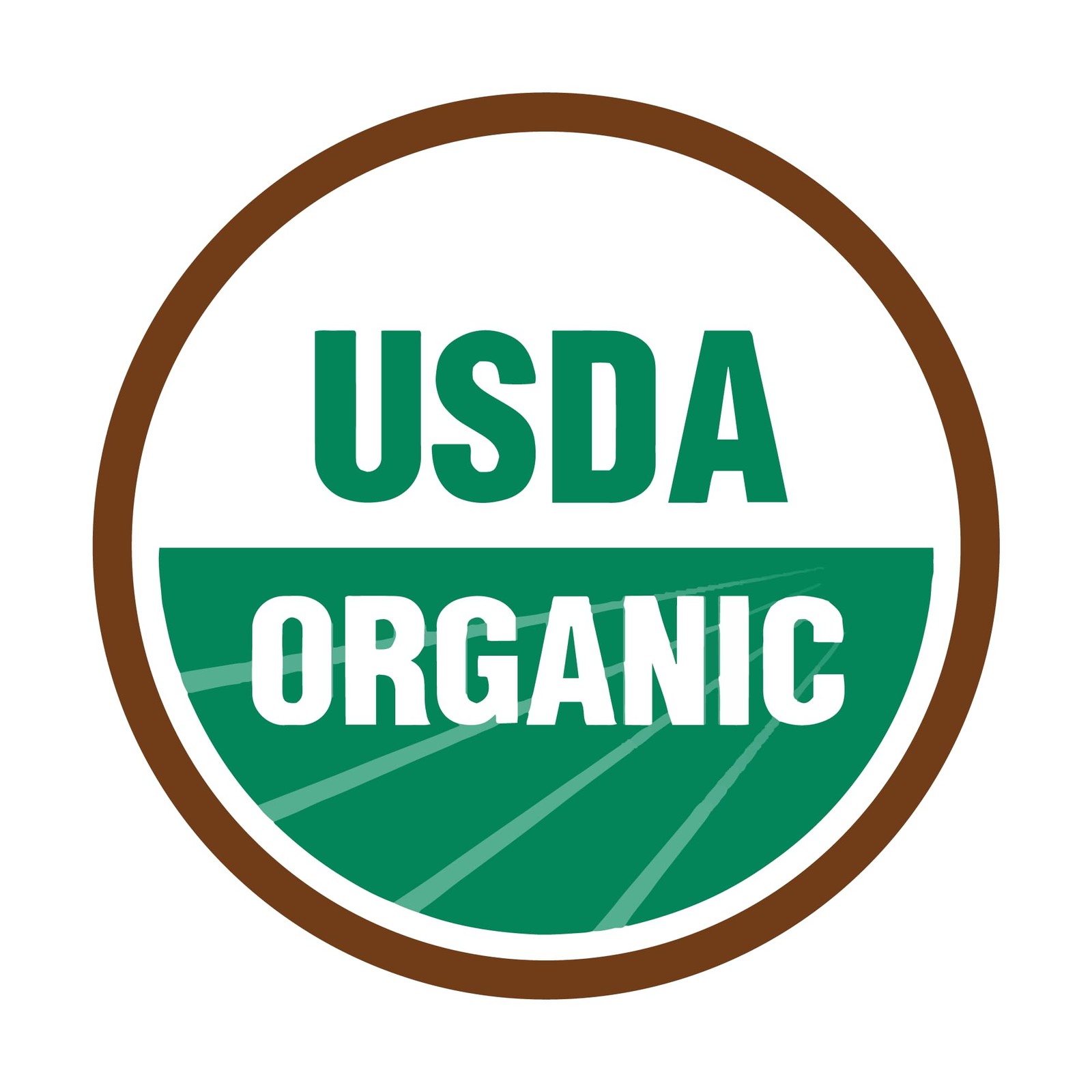 Organic Pumpkin Kernel Seeds 2Lbs – Nutrient-Rich Snack for Dogs