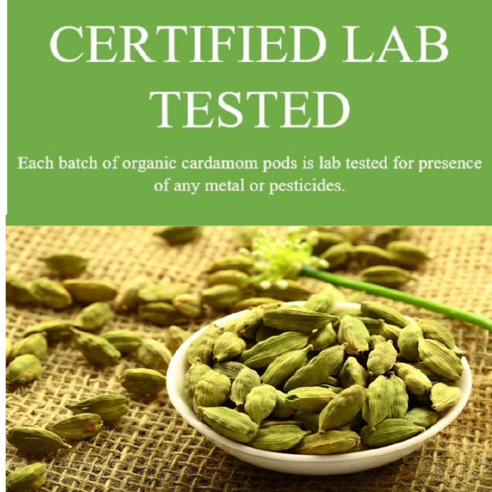 Cardamom Pods USDA Organic Green Fresh Seeds 4oz, Non-GMO, Gluten Free