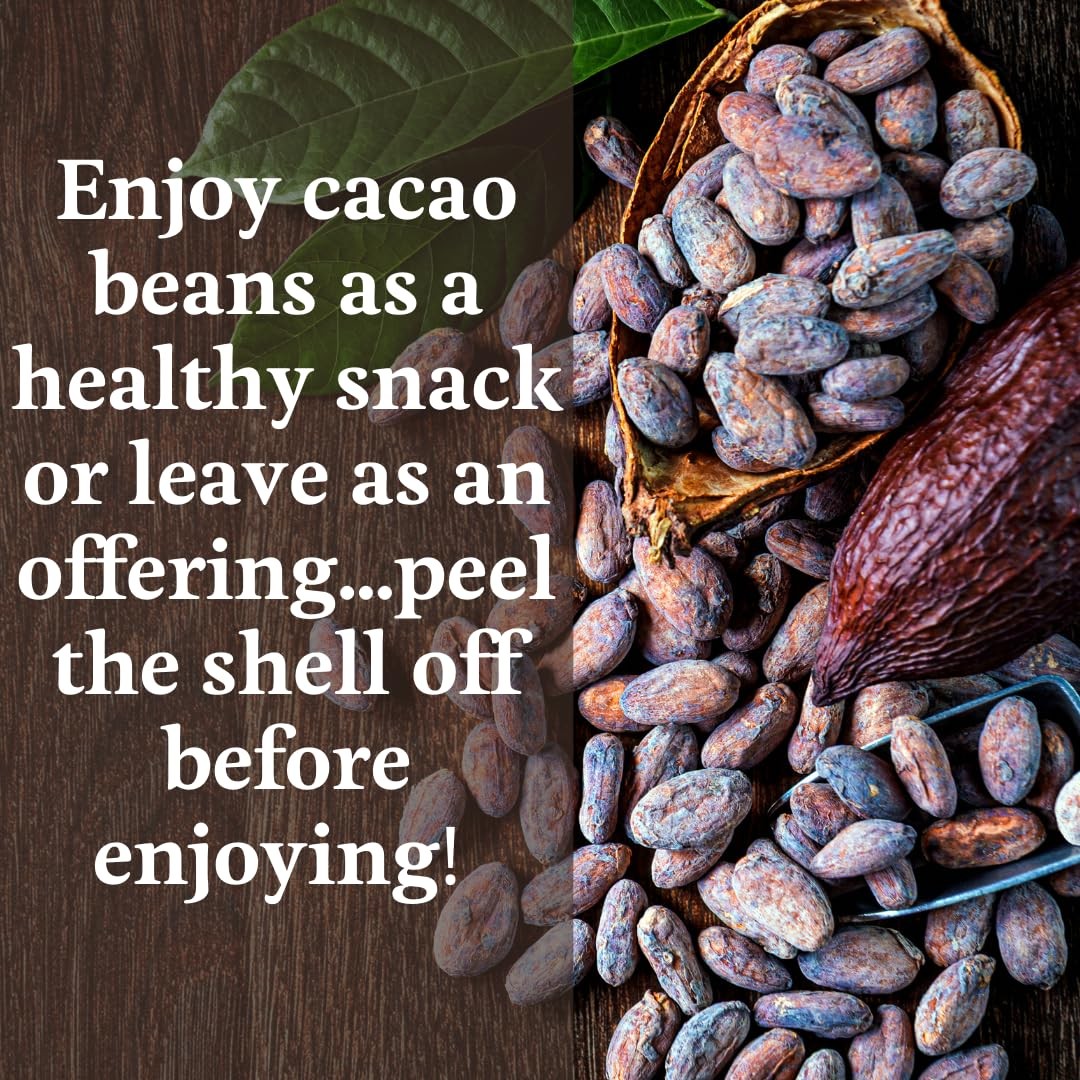 ORA Whole Cacao Beans, 10oz – Organic 10 ounces